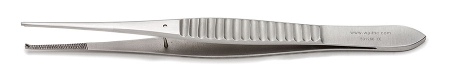 Gillies Dissecting Forceps, 15.5cm, Straight, 1x2 teeth