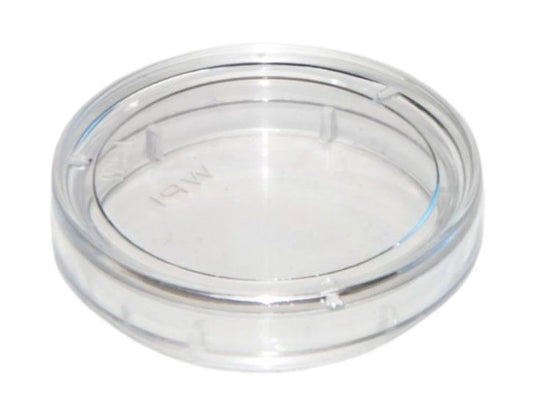 FLUORODISH, Poly-L-Lysine COAT