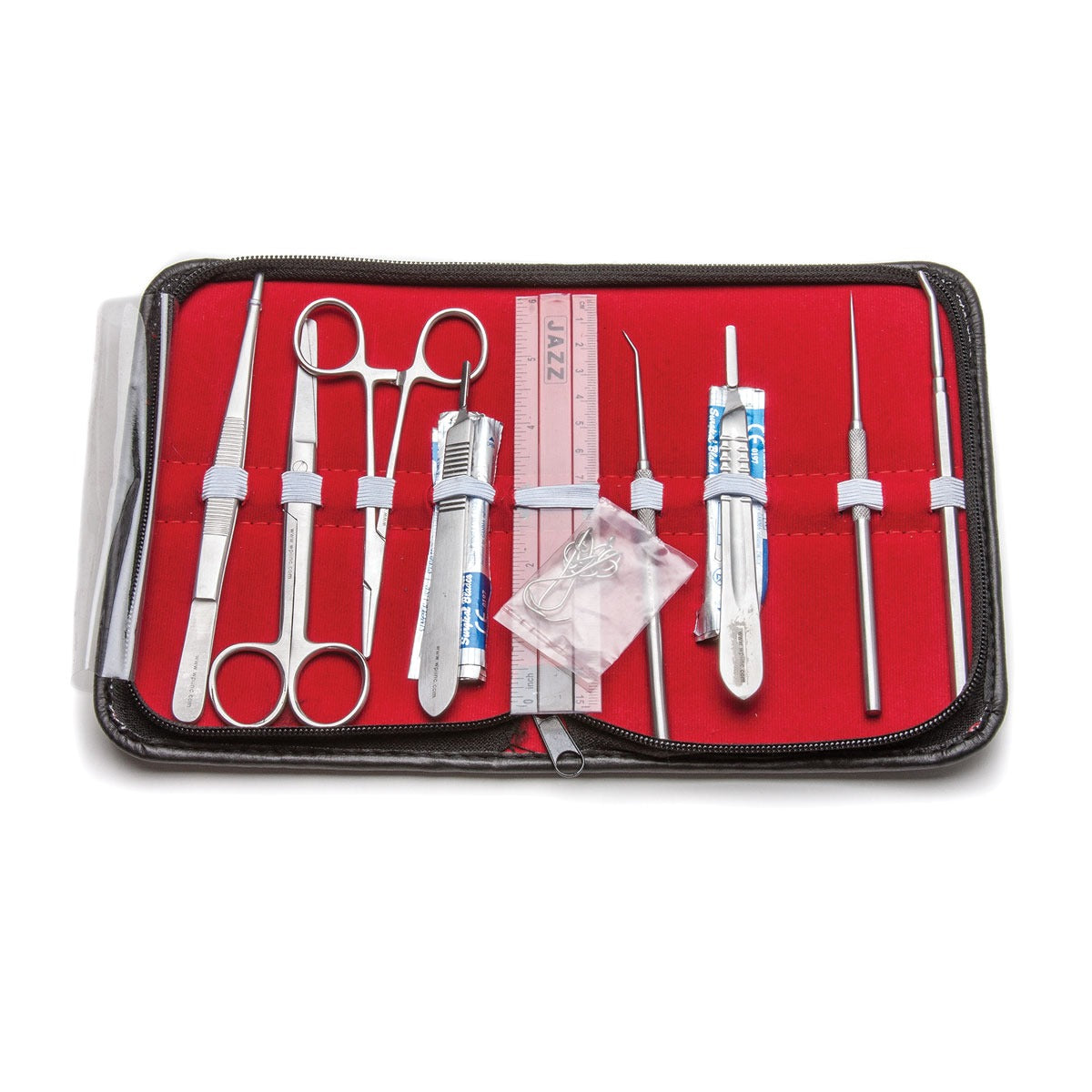 Student Anatomy Kit