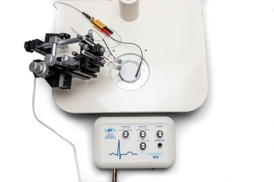 ECG Physiology System