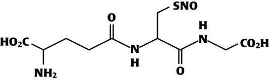 GSNO S-nitrosoglutatione-GSNO-100