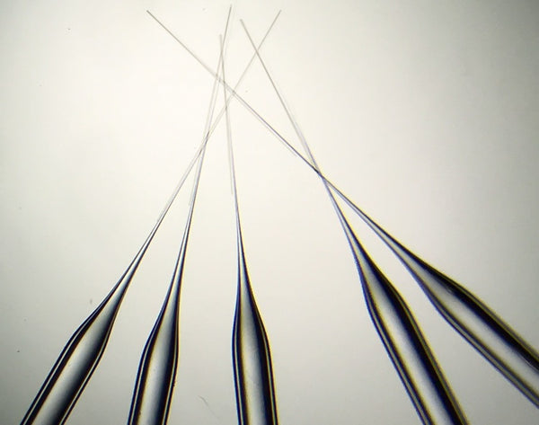 Pre-Pulled Glass Pipettes, Long taper -TIP15FLT – Coherent Store